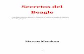 Secretos Del Beagle