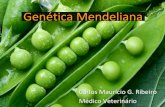 Aula 04 - Genética Mendeliana Slide