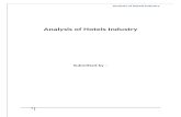 Portfolio Analysis of Hotels Industry