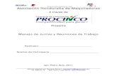 ManualParticipante Manejo de Juntas y Reuniones de Trabajo PZR 2011 Abril