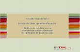 Estado y Pueblo Mapuche