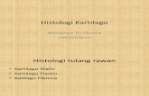 Histologi Kartilago