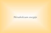 Metabolizam energije