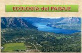 Ecología Del Paisaje