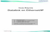 Gr Datalink en Eip21-03