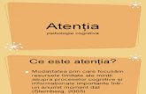 atentia cognitiva (1)