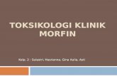 Morfin Kelp 2 Revisi