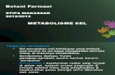 Botani Farmasi - Metabolisme Sel