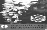 Apicultura in Romania 1985 Nr5 Mai