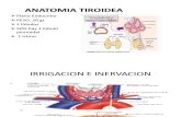 Neoplasia Tiroide