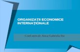 Slideuri Organizatii Internationale