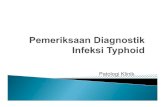 Tmd175 Slide Pemeriksaan Diagnostik Infeksi Thypoid
