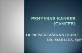 Penyebab Kanker (Cancer)