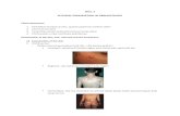 Skill 2 (Pe in Dermatology)