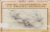 Anatomia Artistica - Dibujo Anatómico de La Figura Humana