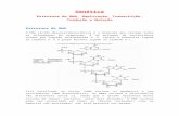 Resumo Estrutura Do DNA, Replicação, Transcrição, Tradução e Mutação