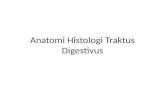 Anatomi Histologi Traktus Digestivus
