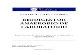 Biodigestor Anaerobio de Laboratorio