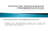 Slide 3 -Tipos de Processos Fermentativos