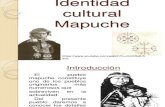 Identidad Cultural Mapuche