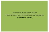 20 Profil Kes.prov.KalimantanBarat 2012