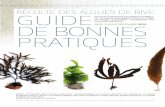 Guide Recolte Algues 29122013