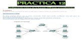 Practica12 MRD