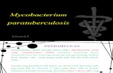 Mycobacterium paratuberculosis