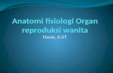 1. Anatomi Fisiologi Organ Reproduksi Wanita