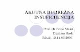 Akutna Bubrezna Insuficijencija, Prof. Dr Enisa Mesic, Bihac 2006.