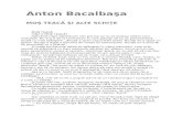 Anton Bacalbasa-Mos Teaca Si Alte Schite 10