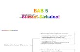 Bab 5 Sistem Sirkulasi