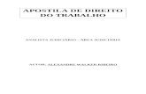 DIREITO DO TRABALHO (Apostila AJAJ - TRT-SP).doc