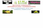 Botani Farmasi (Morfologi)-Revisi