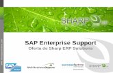 Presentacion Soporte Sharp ERP Solutions v0.2.pdf