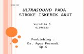 Ultrasound SIA