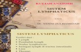 Sistem Lymph