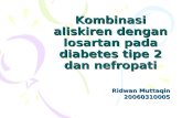 Kombinasi Aliskiren Dengan Losartan Pada Diabetes Tipe 2