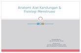 Anatomi Alat Reproduksi Fisiologi Menstruasi PM