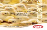 Cobb Hatchery Management Guide Spanish