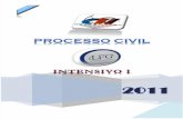Processo Civil i