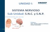 Sistema Nervioso Central PDF(1)