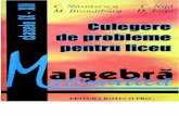 132583052 Nastasescu Nita Brandiburu Joita Culegere Algebra Cls IX XII 1997