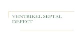 Ka 1 Slide Ventrikel Septal Defect