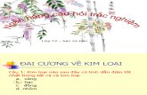 Dai Cuong Kim Loai