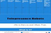Telepresence Robots