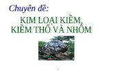 Chuyen Kim Loai Kiemkiem Tho Va Nhom
