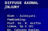 Diffuse Axonal Injury Pp
