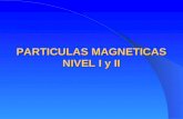 Particulas Magneticas i - II - Copia