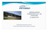 Carmen Filipescu - Liberalizarea Transportului de Calatori